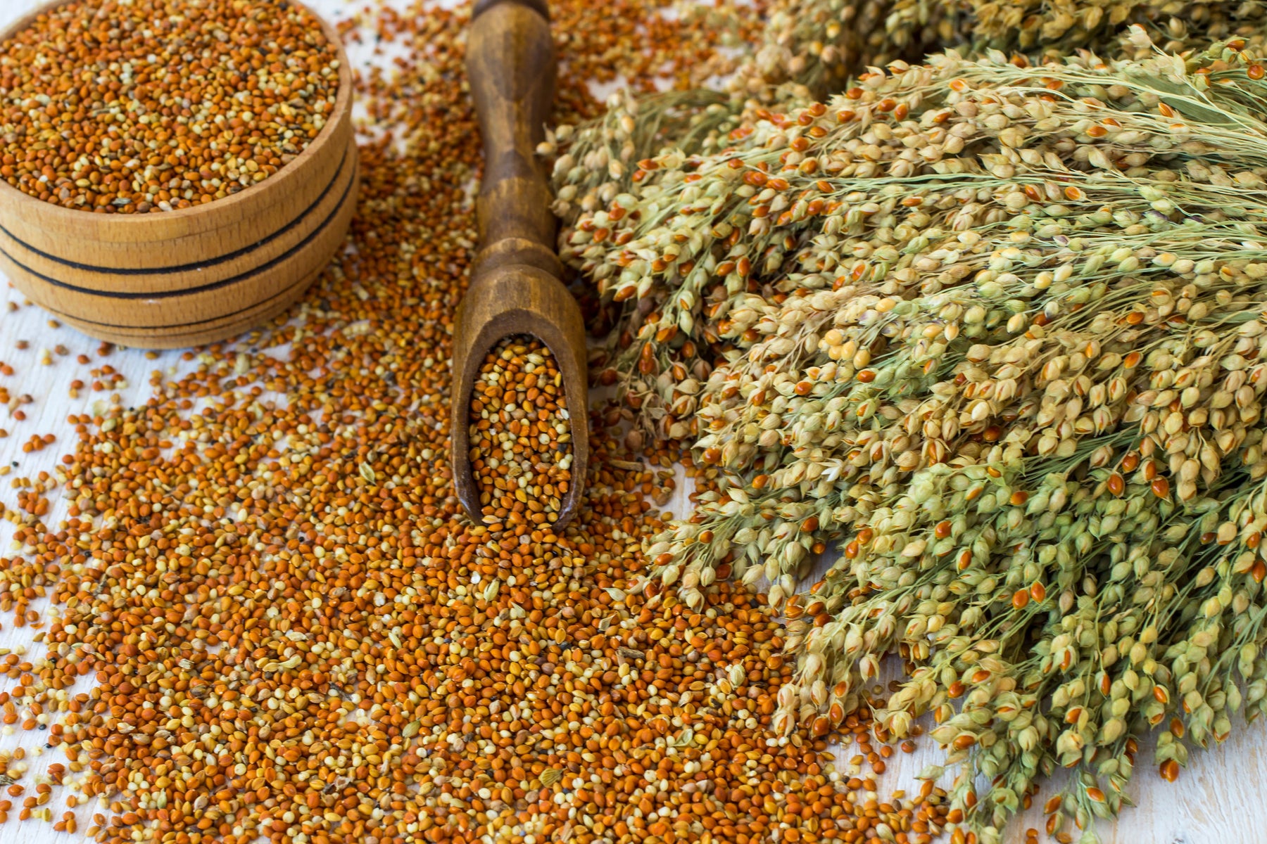 Understanding the Benefits of Millets - Spice Divine