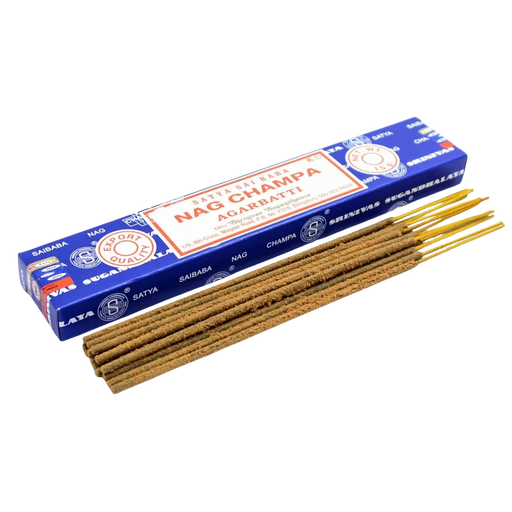 Hem Nag Champa Incense Sticks 10-Count Pack — front label with Hem branding