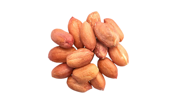 Only Fresh Food Raw Jumbo Peanuts 300g