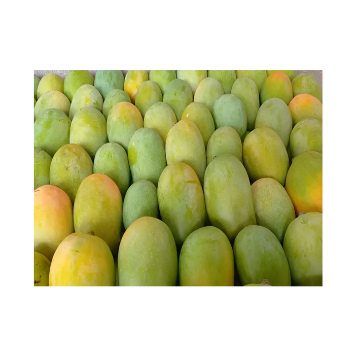 Fresh Kesar Mango (6Pcs)