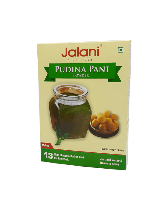 Jalani Pudina Pani powder 500g - Chutney | indian grocery store in Montreal