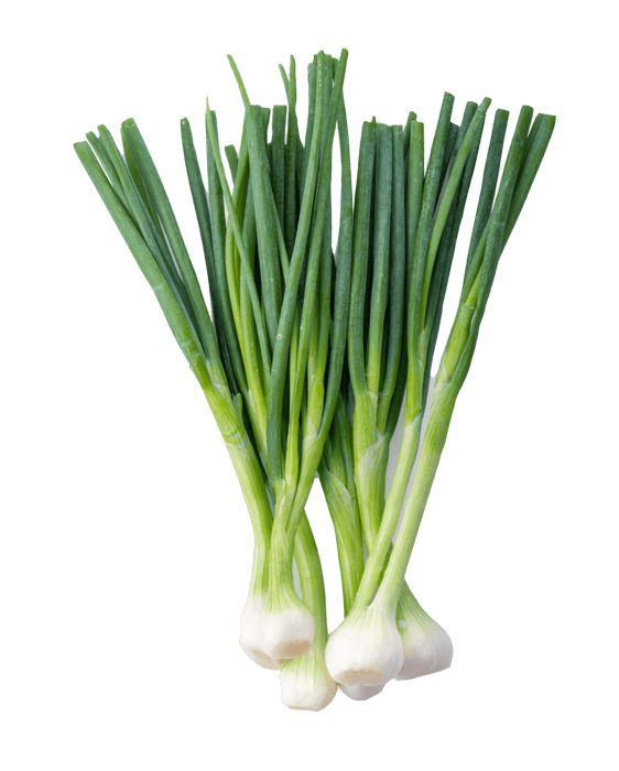 Green Onion - Vegetables - indian grocery store kitchener