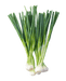 Green Onion - Vegetables - indian grocery store kitchener