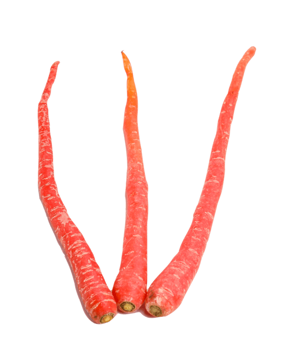 Spice Divine Indian carrot 1kg fresh pack — fresh orange carrots with smooth skin